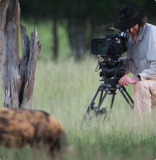 Belgesel Çekimleri - 2